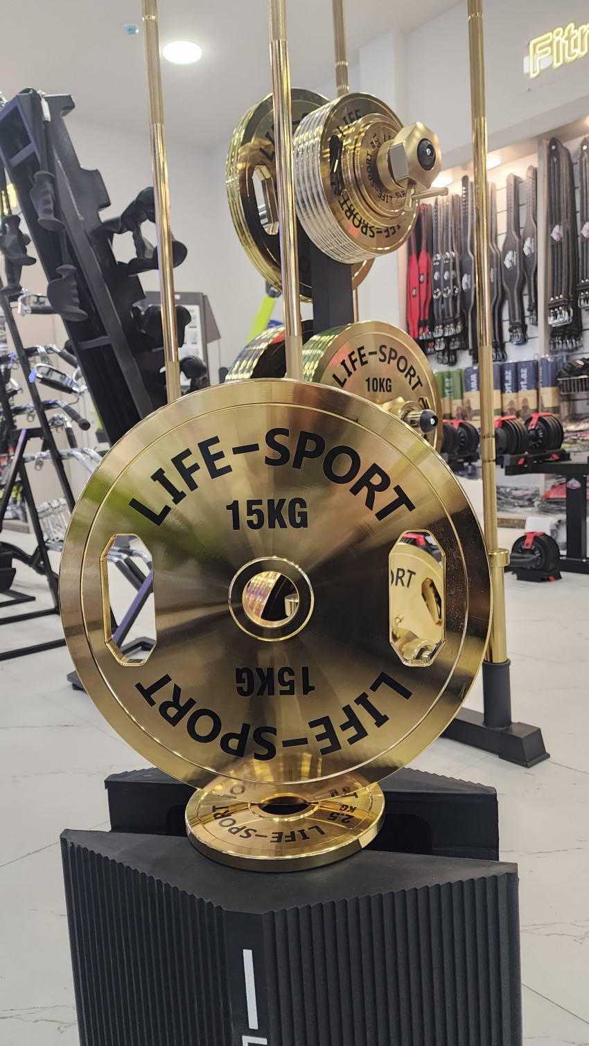 Life Sport Pro Bronze Coating Change Plate 15 kg
